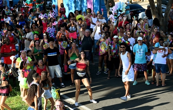 Sábado e domingo de Carnaval movimentam 25 blocos em Campinas; veja fotos