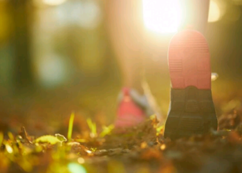 Artigo: Milagres – por André Naves