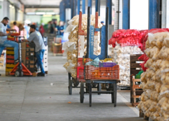 Campinas recebe Abracen 2025: debate sobre o futuro do abastecimento no Brasil
