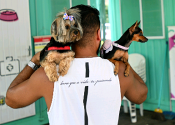 Consultório Veterinário Móvel chega ao Campo Belo na próxima segunda