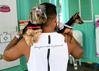 Consultório Veterinário Móvel chega ao Campo Belo na próxima segunda