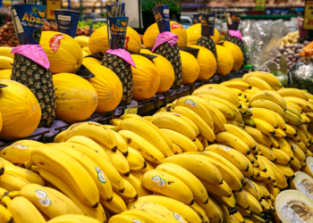 Calor intenso: cuidados com frutas e verduras para mantê-las frescas para consumo