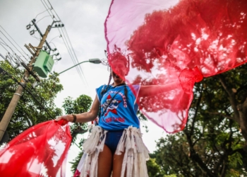 Veja imagens do Carnaval de Campinas nesta terça-feira