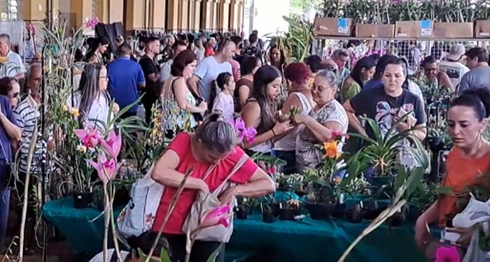 Festival de Orquídeas e Flores volta a Campinas neste final de semana
