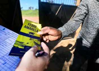 Campinas confirma  segunda morte por febre amarela em residente da cidade