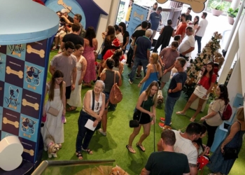 Galleria Shopping promove no sábado Encontro de Poodles e feira de adoção