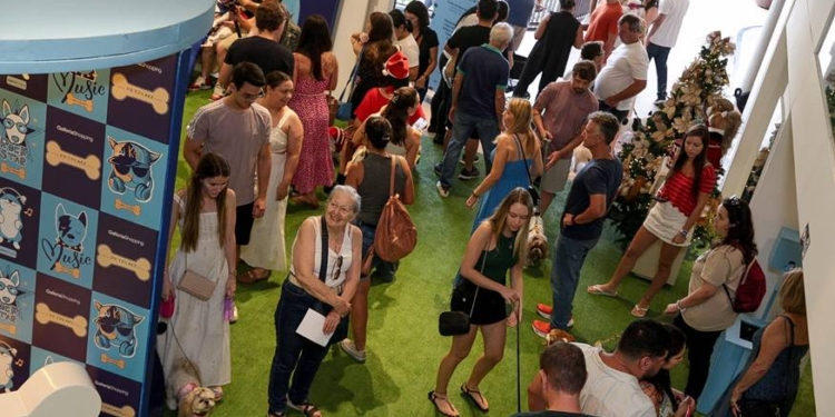 Galleria Shopping promove no sábado Encontro de Poodles e feira de adoção
