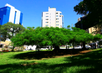 Prefeitura revê projeto de macrodrenagem na Norte-Sul para evitar retirada de árvores