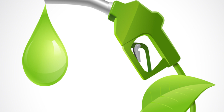 100 anos de etanol, meio século de Proálcool: o Brasil sustentável