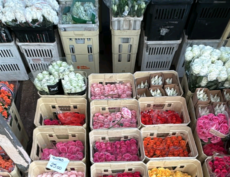 Dia da Mulher aumenta em 60% a venda de rosas na Ceasa Campinas