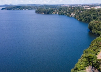 Parque na orla da Represa Guarapiranga tem 261 espécies de aves