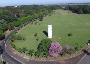 Justiça barra audiência para discutir venda de áreas como a da fazenda Santa Elisa