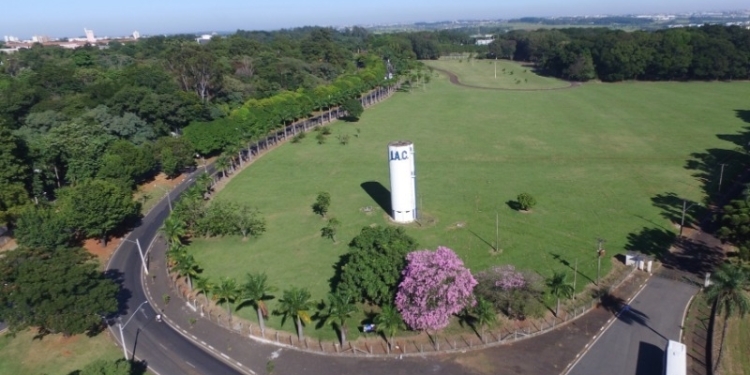 Justiça barra audiência para discutir venda de áreas como a da fazenda Santa Elisa