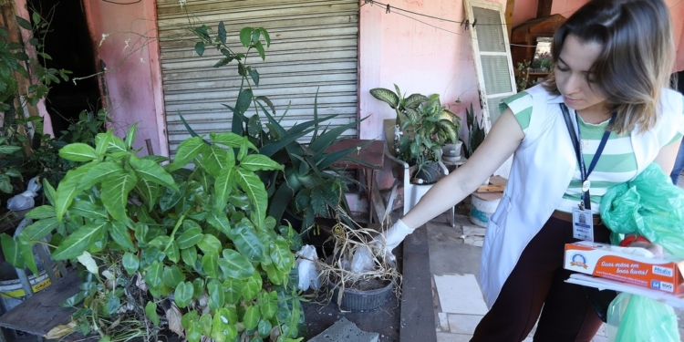 Campinas organiza mutirão contra a dengue nesta quarta-feira