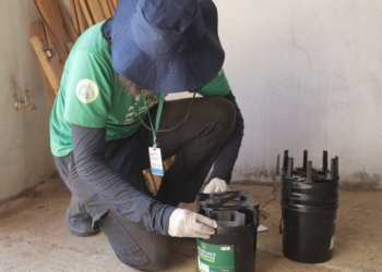 Hortolândia inicia monitoramento de armadilhas contra mosquito Aedes aegypti