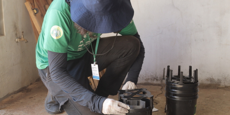 Hortolândia inicia monitoramento de armadilhas contra mosquito Aedes aegypti