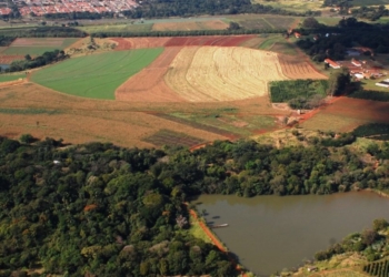 Tarcísio de Freitas desiste de venda da Fazenda Santa Elisa