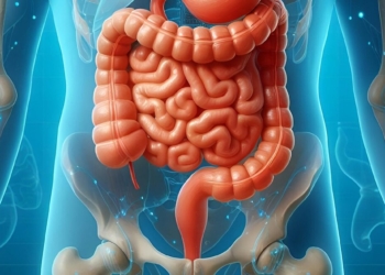 Exame de sangue nas fezes é opção acessível para rastrear câncer colorretal