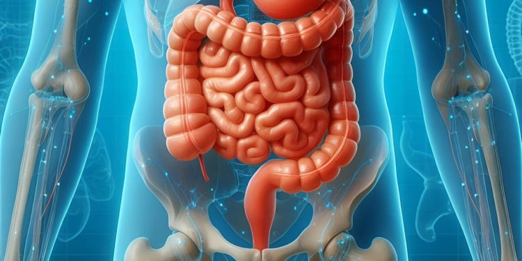 Exame de sangue nas fezes é opção acessível para rastrear câncer colorretal