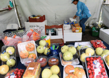 Do morango ao café: agricultura ganha espaço e investimentos em Campinas