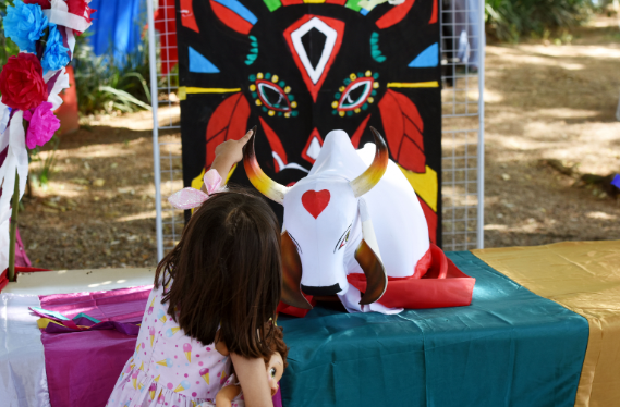Festa do Boi Falô celebra tradição e memória em Barão Geraldo