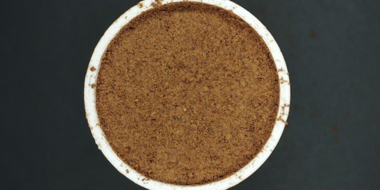 Pesquisador da Unicamp desenvolve método para identificar ‘cafés fake’ pelo celular