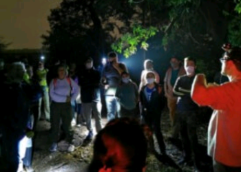 Mata de Santa Genebra recebe Caminhada Noturna nesta quinta; veja como participar