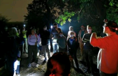 Mata de Santa Genebra recebe Caminhada Noturna nesta quinta; veja como participar