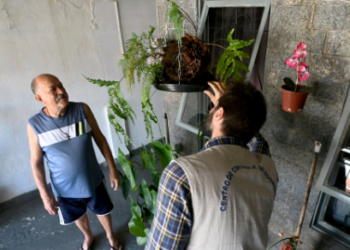 Região Sudoeste de Campinas terá mutirão contra dengue neste sábado