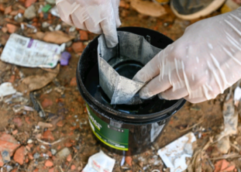 Campinas divulga novo alerta: 18 bairros estão com alto risco de transmissão de dengue