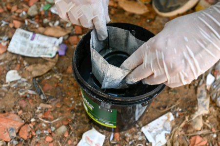 Campinas divulga novo alerta: 18 bairros estão com alto risco de transmissão de dengue