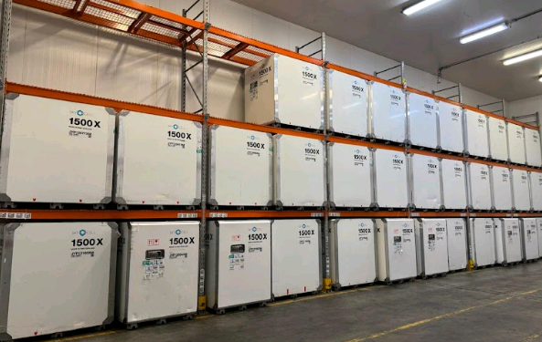 Viracopos recebe 14 toneladas de vacinas da dengue vindas da Irlanda