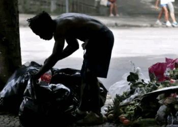 A desigualdade brasileira posta à mesa – por Luis Norberto Pascoal