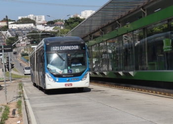 Trinta novos ônibus reforçarão linhas do Ouro Verde, Jambeiro e Nova Europa
