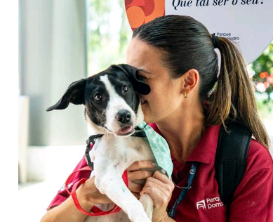 Parque Dom Pedro terá evento de adoção de cães e gatos neste sábado