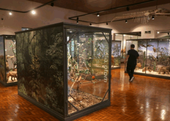 Campinas terá passeio guiado gratuito pelos principais museus da cidade