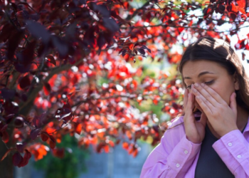 Prevenção no Outono: sete cuidados para evitar doenças comuns