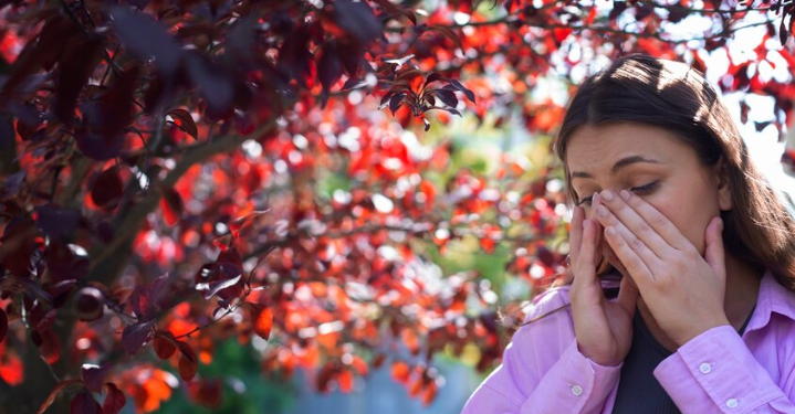 Prevenção no Outono: sete cuidados para evitar doenças comuns