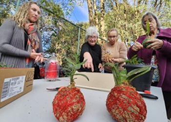 Vitalità tem inscrições abertas para oficinas voltadas ao público 60+