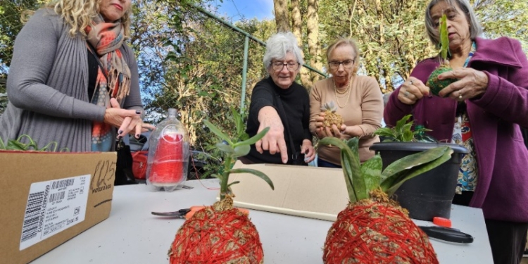 Vitalità tem inscrições abertas para oficinas voltadas ao público 60+