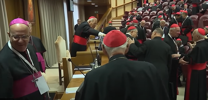 Cardeais que votarão no conclave estão em Roma