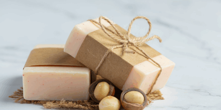 Unimetrocamp lança projeto gratuito de capacitação profissional