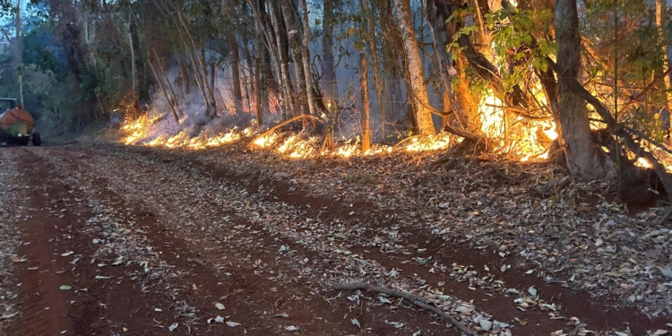 Jaguariúna implementa Plano de Contingência para enfrentar estiagem em 2025