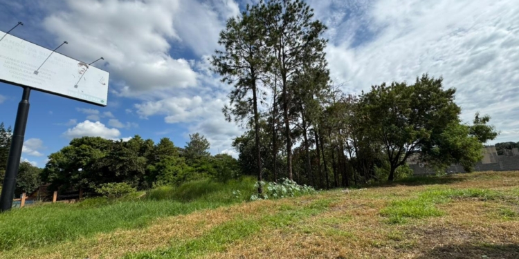 Prefeitura de Jaguariúna cancela contrato para construção de 380 moradias no Dona Irma