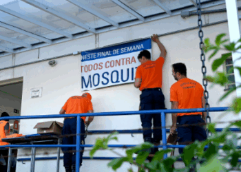 Mutirão contra a dengue em Campinas visita sete bairros neste sábado; veja quais