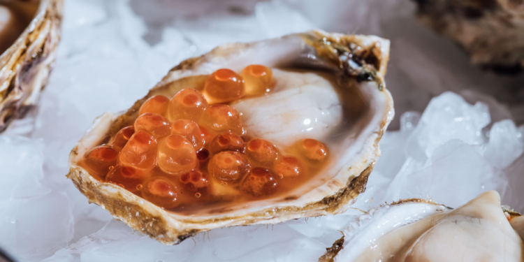 2º Festival Folha Sabores da Praia traz a essência da gastronomia a Ilhabela