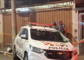 Tutor morre ao ser atacado pelo próprio pitbull em Campinas