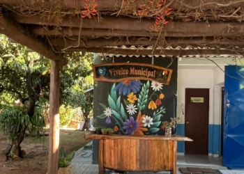 Viveiro Municipal de Hortolândia vai reabrir ao público nesta terça-feira