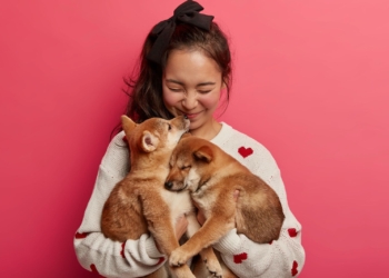 Ser mãe de pet: tendência transforma o mercado e exige profissionais mais preparados