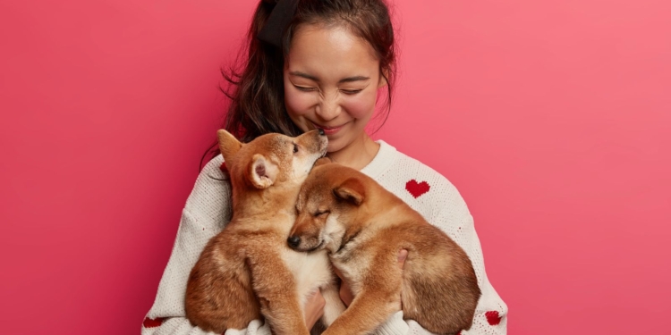 Ser mãe de pet: tendência transforma o mercado e exige profissionais mais preparados